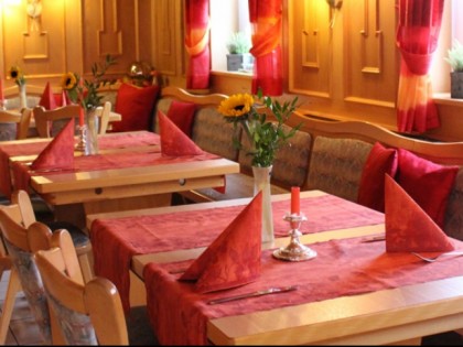 Foto: Brauner Hirsch