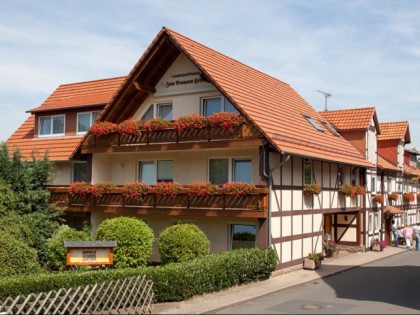 Foto: Brauner Hirsch